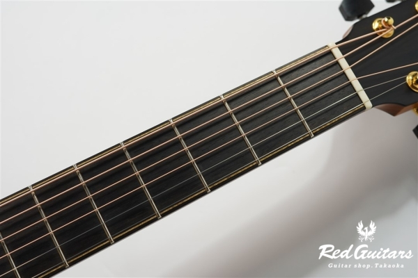 F-50C Cocobolo/Alpine Spruce 